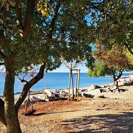 Apartment Istria Zambratija  Eksteriør billede