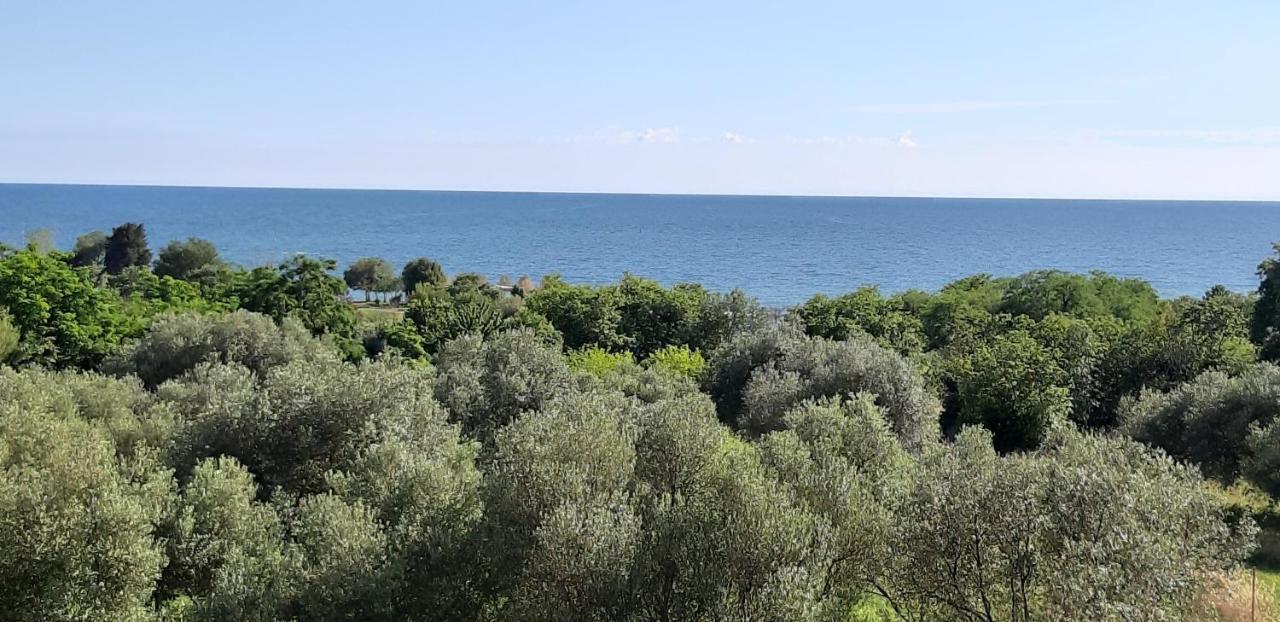 Apartment Istria Zambratija  Eksteriør billede